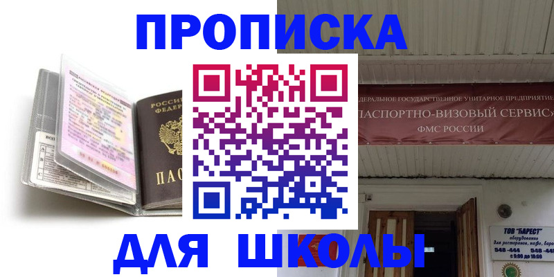 прописка поиск в Шали