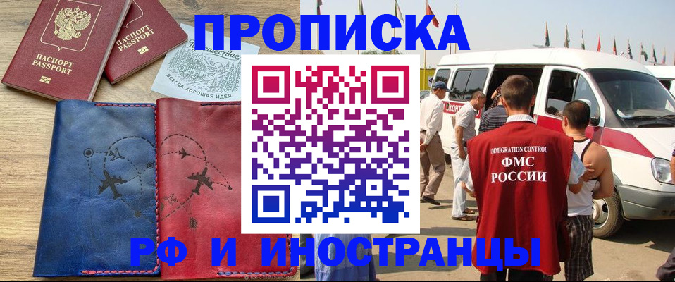 прописка в Шали